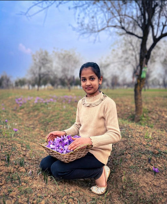 How to Identify Pure Kashmiri Saffron