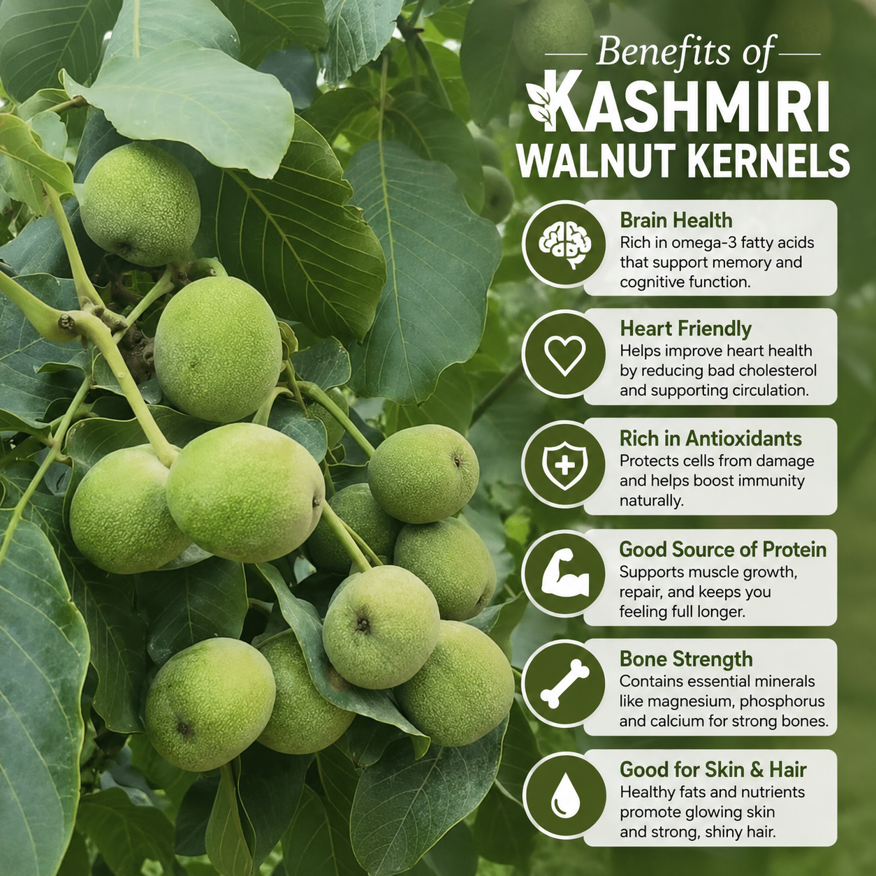 Premium Kashmiri Walnut Kernels - Omega-3 Rich Dry Fruit